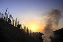 Photography--Digital-LandscapeCrop Over