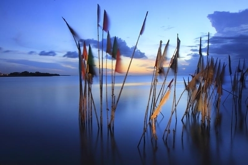 Photography-Landscape-Flags