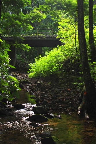 Photography-Landscape-Old Bridge