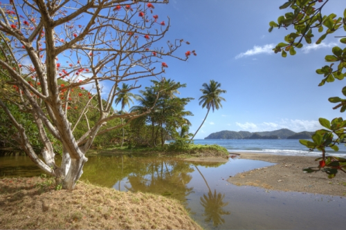 Photography-Nature-Speyside Tobago1