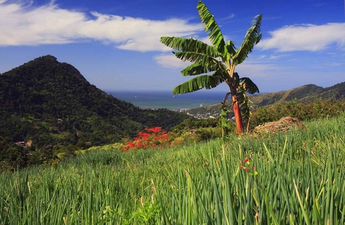 Photography-Landscape-Camron hill