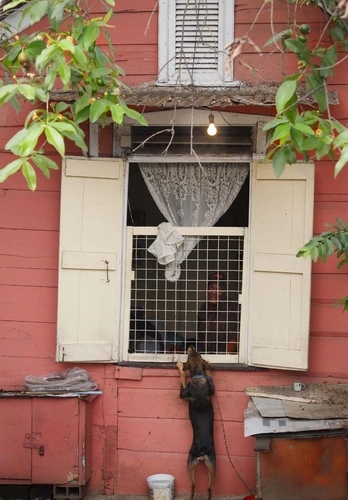 Photography-Architecture-Old friends