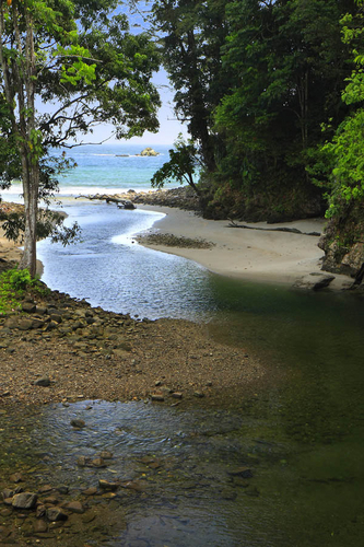 Photography-Seascape-Shark river