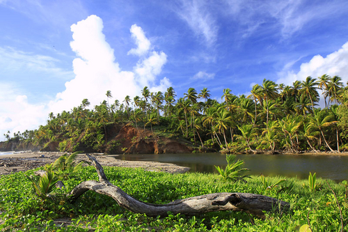 Photography-Landscape-Driftwood