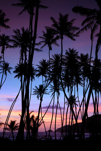 Photography-Landscape-Mayaro sunrise