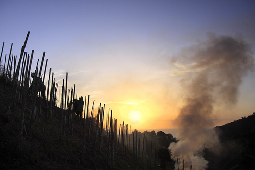 Photography-Landscape-Crop Over