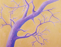Cedar%20Waxwing (thumbnail)