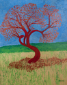Ruby%20Crowned%20Kinglet (thumbnail)