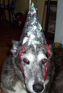 True%20Love%3A%20Dylan%20in%20Party%20Hat (thumbnail)