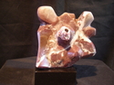 Coral (thumbnail)