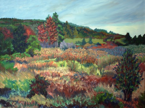 Debbi's Meadow