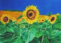 Painting--Acrylic-FloralSunflowers of Tuscany