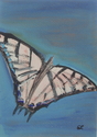 Painting--Acrylic-AnimalsTake-Off