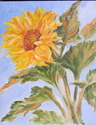 %22Sunflower%20l%22 (thumbnail)