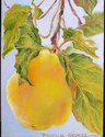 %22Pear%22 (thumbnail)