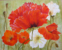 Red%20%26%20White%20Poppies (thumbnail)