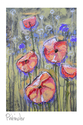 Poppies