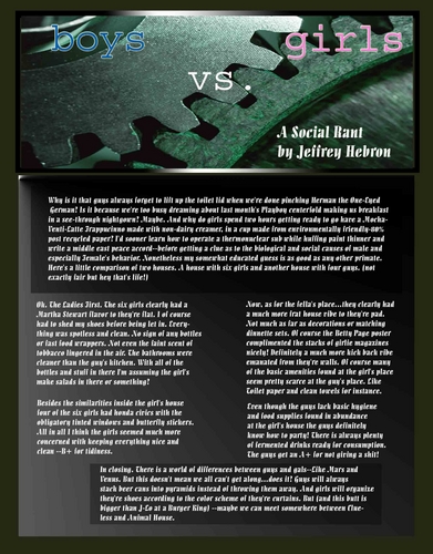 SKINNIE%20IE%20Magazine%20article%3B%20%27Girls%20vs.%20Boys%27 (large view)