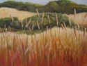 California Grass in Fall