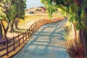 Sonoma Mountain Road 2