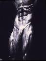 Bodybuilder  Abs