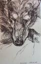 Dylan, the Noble Dog