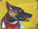 Nyko Portrait