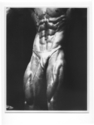 Bodybuilder  Abs Trophy