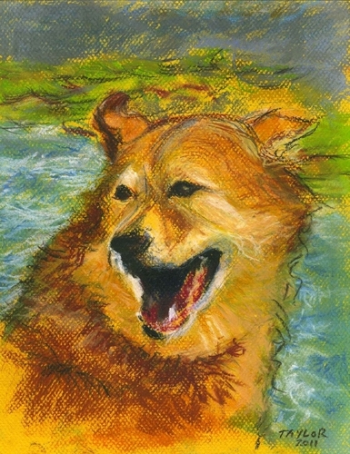 Drawing-Ginger