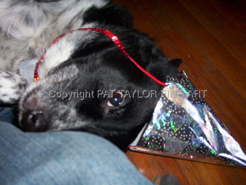 Photography-Color-Trixie Party Hat