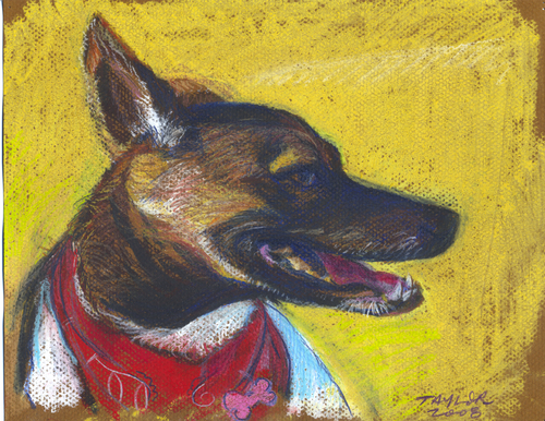 Drawing-Nyko Portrait