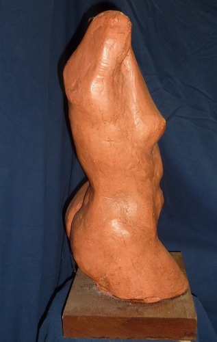 Torso%201%20right%20view (large view)