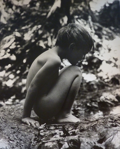 Boy (large view)