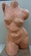 Sculpture-Sculpture torso 1 ver 1