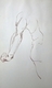 Drawing--Ink-AnatomicalLeft side
