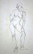 Drawing--Ink-AnatomicalWoman 1