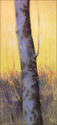 Sycamore Trunk