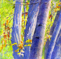 Purple Trees