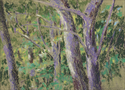 Forest study