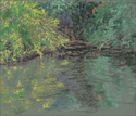 Pond shore study