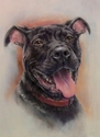 Tucker