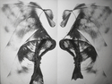 Drawing--Ink-AbstractBells