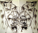 Drawing--Ink-AbstractSacrum