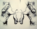 Drawing--Ink-AbstractButterfly