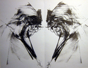 Drawing--Ink-AbstractAntennae