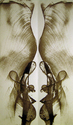 Drawing--Ink-AbstractUndulation