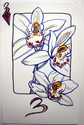 Drawing--Ink-Botanical3 of Diamonds: Orchids
