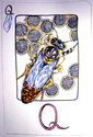 Drawing--Ink-AnimalsQ Queen Bee