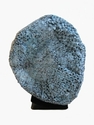 Celestial Sphere in Utopia