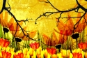 Digital Print - Abstract Photography